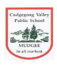 Cudgegong Valley Public School - Brisbane Private Schools 0
