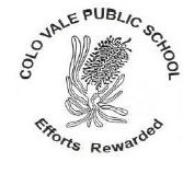 Colo Vale Public School - Brisbane Private Schools