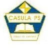 Casula Public School - Brisbane Private Schools