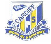 Cardiff Public School - Brisbane Private Schools 0