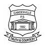 Camdenville Public School - Brisbane Private Schools