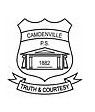 Camdenville Public School - Brisbane Private Schools 0