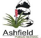 Ashfield Public School - Brisbane Private Schools