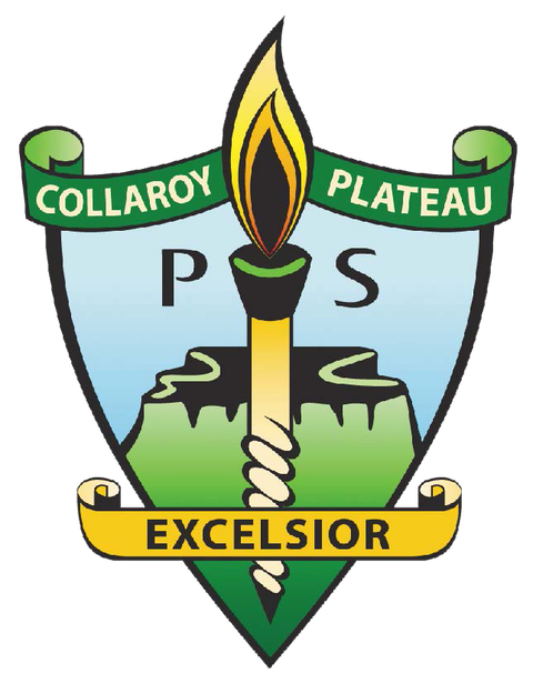Collaroy Plateau Public School - Brisbane Private Schools 0