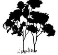 Samuel Gilbert Public School  - Brisbane Private Schools