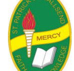 St Patrick's Primary School Wallsend - Brisbane Private Schools