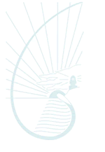 Cape Byron Rudolf Steiner School - Brisbane Private Schools