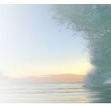 Soul Surfing - Brisbane Private Schools