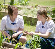 Nagle College - Brisbane Private Schools 5