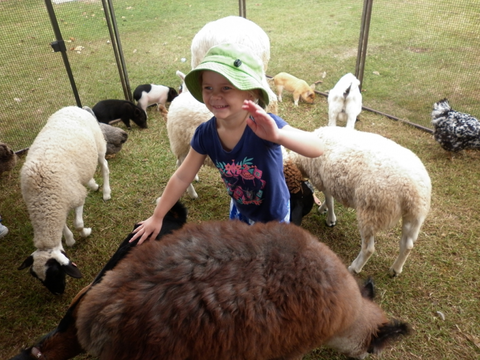 Eastside Little Learners Child Care Centre - Brisbane Private Schools 1