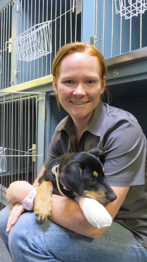 Grafton Veterinary Clinic - Brisbane Private Schools 0