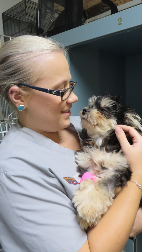Grafton Veterinary Clinic - Brisbane Private Schools 1