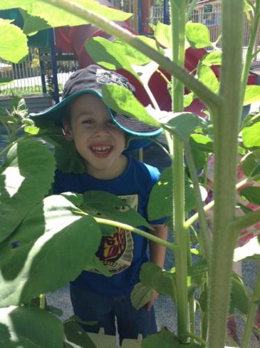 Central Gardens Childcare - Brisbane Private Schools 1