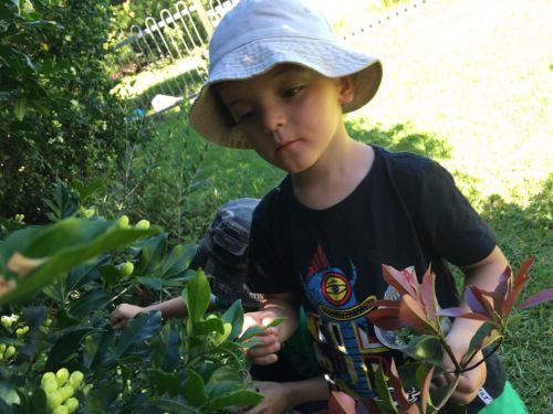 Kiama Downs NSW Brisbane Private Schools