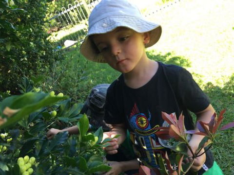 Kiama Kids Pre-School & Childcare Centre - Brisbane Private Schools 0