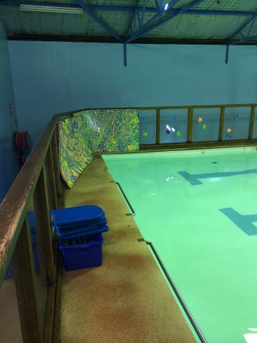 Shane Dowel’s Swim School - Brisbane Private Schools 1