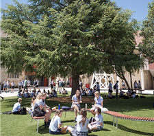 St Columba's Catholic College, Springwood - Brisbane Private Schools 4