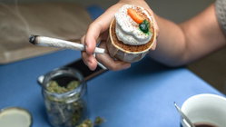 Cannabis cafes may become tourist draw in US city as lung experts cite 'toxic chemical' concerns Brisbane Private Schools