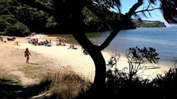 Deadly mystery unfolds as canoeists are found unresponsive after midnight trip Brisbane Private Schools