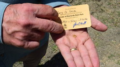 Grandfather finds hidden treasure in plain sight as park officials 'dumbfounded' by discovery Brisbane Private Schools