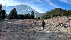 Mount Shasta climber recounts harrowing 500-foot slide, overnight crawl to safety: report Brisbane Private Schools