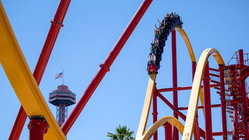 Popular amusement park bans guest for life after roller coaster stunt viral video Brisbane Private Schools